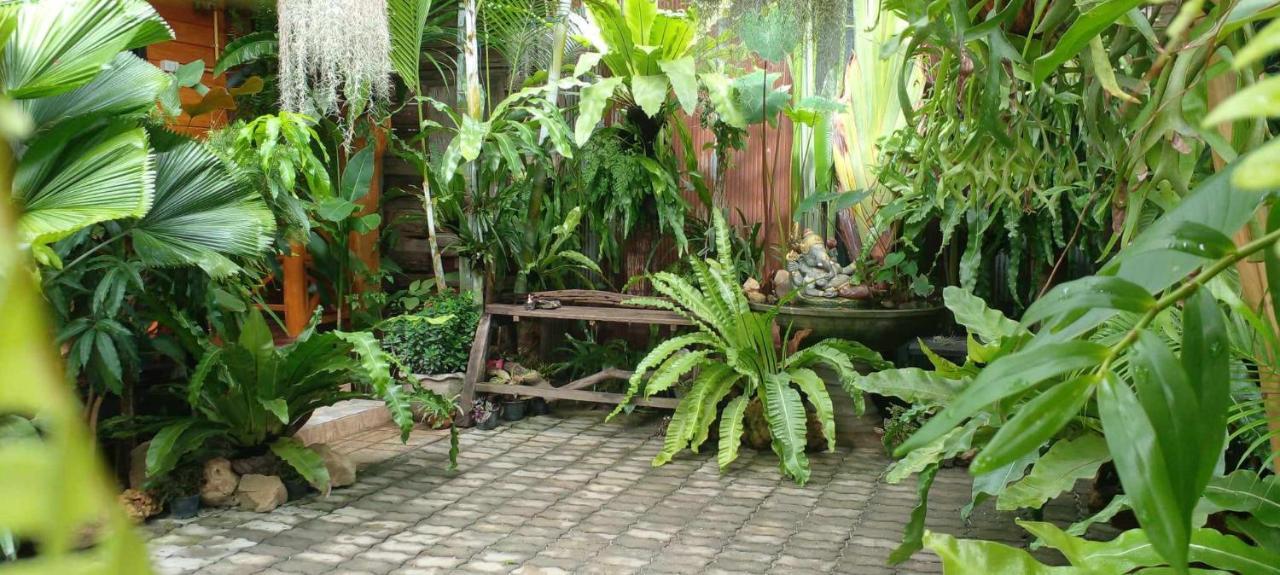 Ouychai Resort Home Stay Чиангмай Екстериор снимка