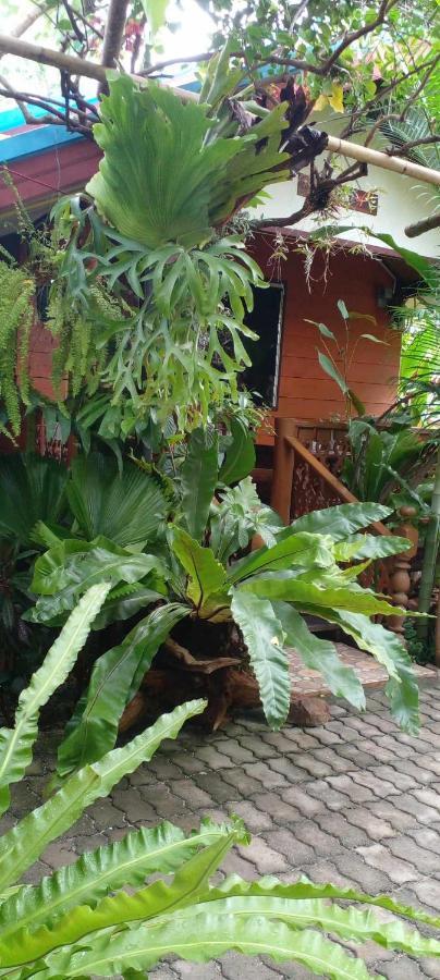 Ouychai Resort Home Stay Чиангмай Екстериор снимка
