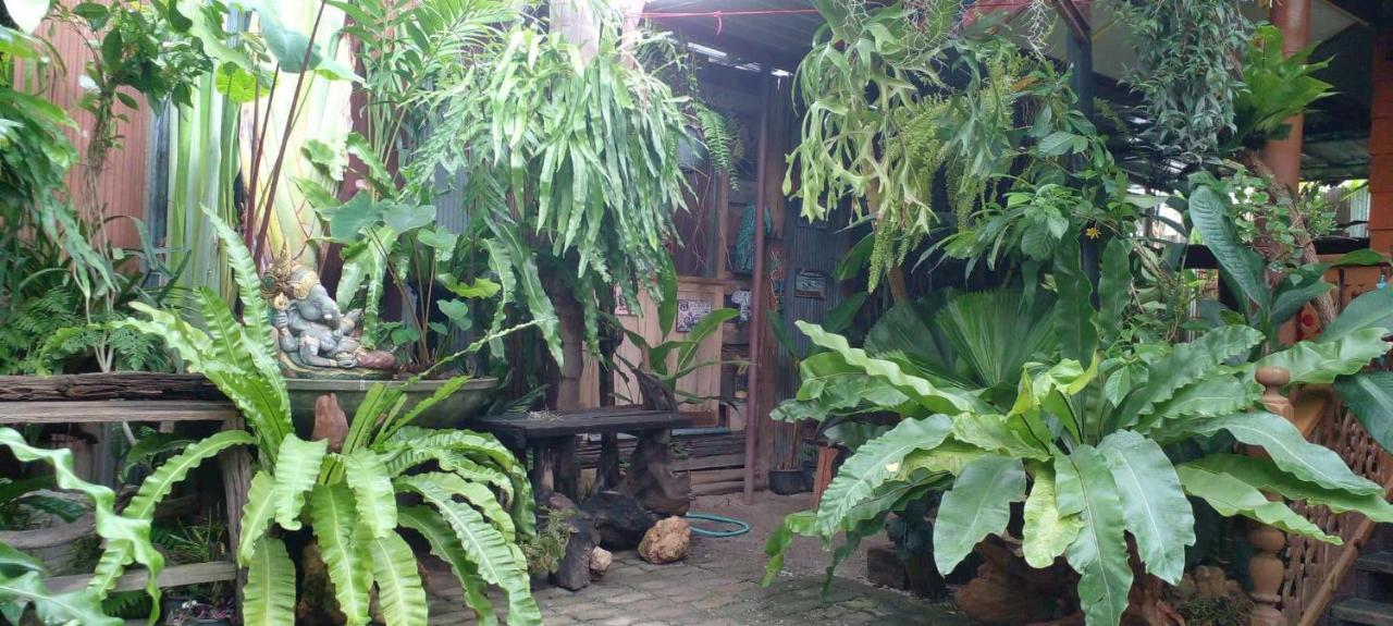 Ouychai Resort Home Stay Чиангмай Екстериор снимка
